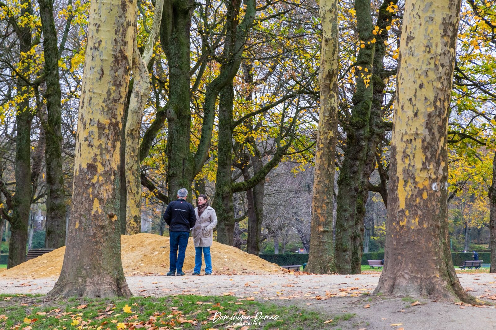 Coaching Régénératif - Retrouver équilibre, vitalité et sens